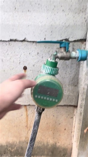 ปัญหาการลืมรดน้ำจะหมด เพียงแค่ติดตั้ง timer ตั้งเวลารดน้ำ #timer #รดน้ําต้นไม้ #ปลูกผักกินเอง