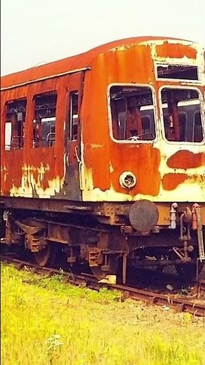 Derelict Train Carriages Exploring Damaged Relics and Active Trains! #abandoned #railway #trains
