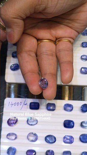 Different Quality Certified Natural Srilankan Blue Sapphire & Pitambari Deep Colour Paul Gems 💎