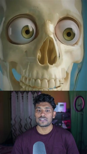 What Happens If You Stop Eating Completely?