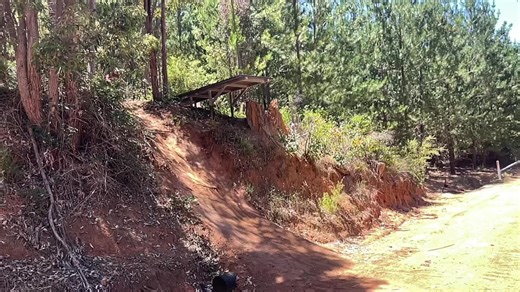 Explore Santa Cruz: Top Attractions and Activities