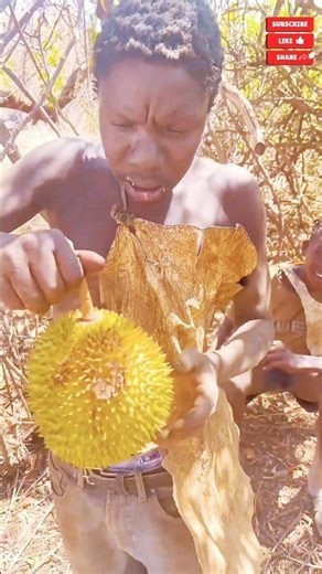 Chaba and Dudukwe saw durian for the first time #hadzabetribe #chaba #dudukwe