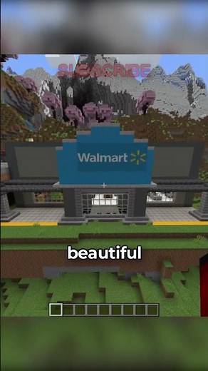 I added thousands of Walmarts to minecraft