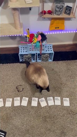 Cards Against Humanity