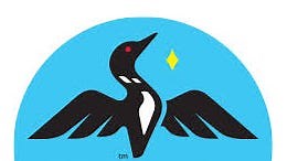 Two lottery players won $1 million each in the Minnesota Millionaire Raffle. Here's where the tickets were sold