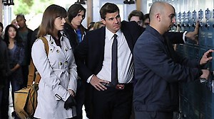 Watch Bones Season 6 Episode 8 - The Twisted Bones in the Melted Truck