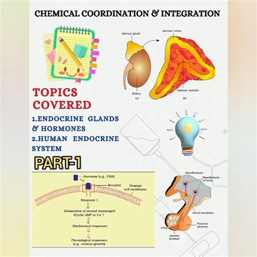 Chemical Coordination and Integration|Class-11th biology|Class notes#biology#neetaspirents# #classxi
