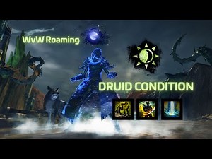 Guild Wars 2 Druid Condition Build – WvW Roaming Showcase