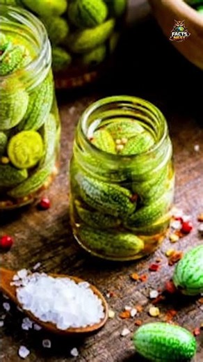 Tiny Watermelon Fruit 🍉 | Mouse Melon