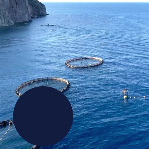 ASC Feed Standard - Sustainable Aquaculture