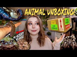 Unboxing 6 VENOMOUS & POISONOUS Animals!