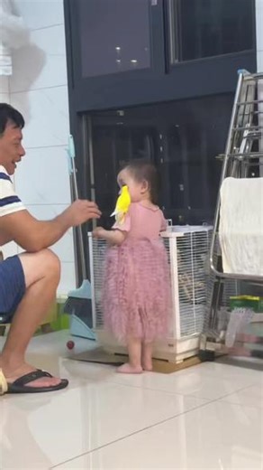 小柚子一起长大的小黄鸟 手养鸟的腻腻歪歪