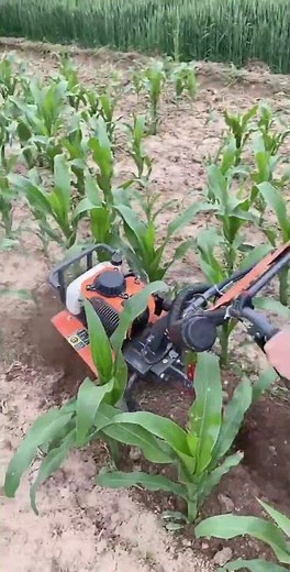 Corn field weeding and ditching all-in-one machine Weeding machine manufacturer.👍