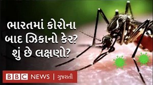 17K views · 242 reactions | ભારતમાં ઝિકા વાઇરસની ઍન્ટ્રી, આ વાઇરસ કેટલો જોખમી છે અને કેવી રીતે થાય છે? સાથે જાણો આ વાઇરસના લક્ષણો વિશે | BBC News Gujarati | Facebook