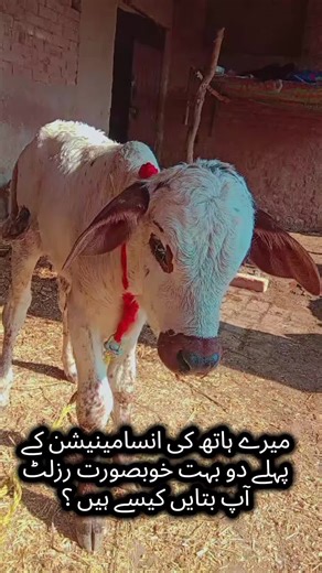 Stunning Results from My Hand Examination