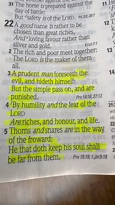 A prudent man foresees evil and hides himself #bibleverse #knowledge | wendy.wendys.984