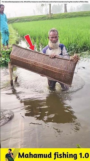 What Fish Did the Uncle Catch in His Trap?🐟#viralvideo #facts #fishinggear #fishinglife #fish
