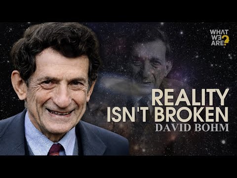 The Hidden PATTERN That Governs Our Reality | David Bohm