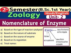 BSc 2nd Semester Zoology Unit 2 Enzyme Action and Regulation // Nomenclature of Enzyme in Hindi
