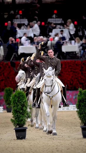 Lipizzaner Horses: Spanish Riding School in Vienna