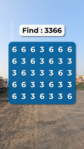 Can you find : 3366 🤔 | Find the Twist