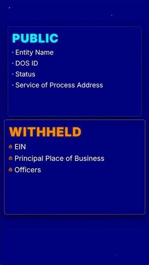 New York Business Search Explained: Find Any Company Fast 🔎