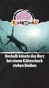 ☀️💦 Der Sommer ruft und die hohen Temperaturen lassen den See sehr verlockend aussehen. Aber Achtung, aufgeheizt in den kalten See zu springen, kann sehr gefährlich werden. Blick erklärt, weshalb dabei sogar das Herz stehen bleiben könnte. • #sommer #kälteschock #sonne | Blick
