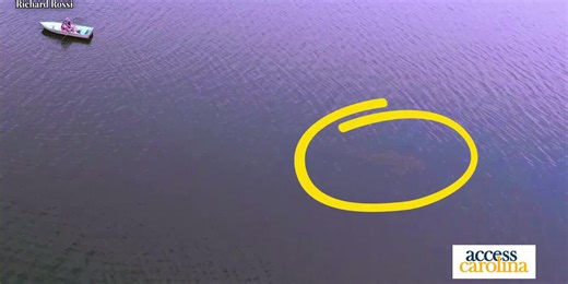 Greenville-based filmmakers capture possible evidence of "lake monster"