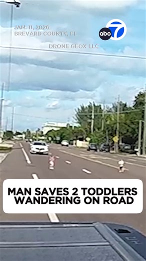 Heroic Rescue of Two Toddlers on Florida Highway