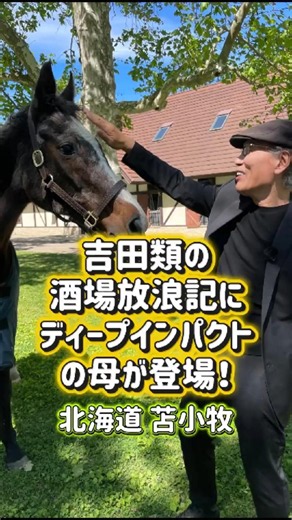 Deep Impact's mother on "Sakaba Horoki"!? #Shorts #HorseRacing