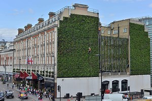 London's Largest "Living Wall" / Gary Grant