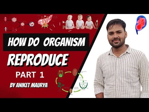 | HOW DO ORGANISM REPRODUCE PART 1 | BIOLOGY | CLASS 10TH | CBSE BOARD | SCIENCE |