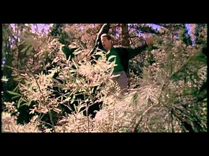 SCENE CULT: Beethoven e i suoi piccoli ridicolizzano la perfida Regina.