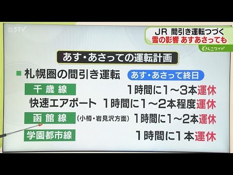 【解説】札幌圏の間引き運転 JRあさってまでの運転計画 ホワイトアウトや交通障害に警戒 北海道