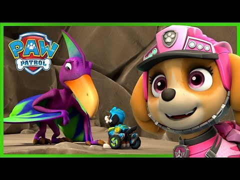 Pups Dino Rescue Episode Marathon! - PAW Patrol - Cartoons for Kids Compilation
