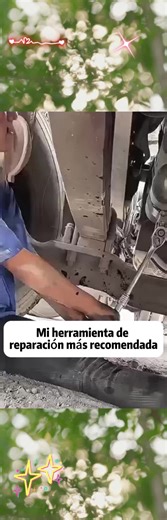 Malia Larkin on TikTok