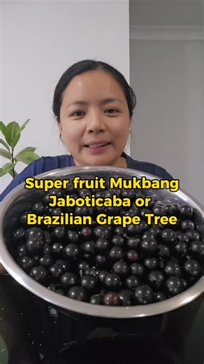 Ano ba ang lasa nitong Jaboticaba / Brazilian Grape Tree? Taste Test Time! #plantitalyninoz #kahalaman #jaboticaba #braziliangrapetree #tropicalfruit | Plantita Lyn in Oz