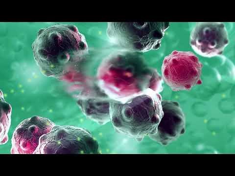 Understanding Immunotherapy in Cancer Treatment – University Hospitals Seidman Cancer Center