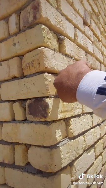 Brick Wall Close-Up: A Study of Texture and Color