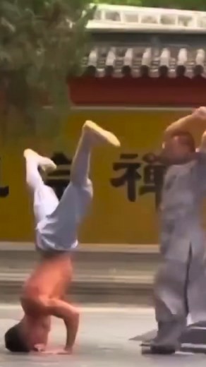 🤣🤣🤣 De Sequoiadendron giganteum, ook wel mammoetboom genoemd, is één van de hoogste en meest indrukwekkende bomen ter wereld. 🌲 Hij kan wel 85 meter hoog worden… net als mijn stem. #sequoiadendron #sequoiadendrongiganteum #mammoetboom #giantsequoia #natuurfeitjes #hoogsteboom #bomenliefde #natuurfotografie #sieranevada #californienature #bosreus #naturefacts #boomsoorten #natuurwonder #naturevibes #reusvandebossen | Maarten Schroijen