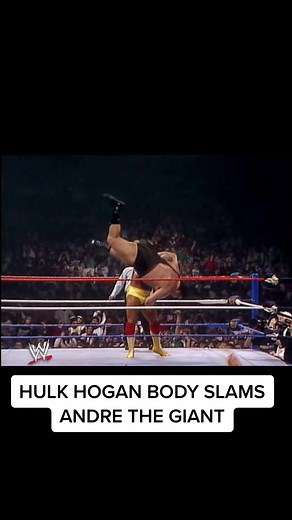 thelastlink_ on TikTok