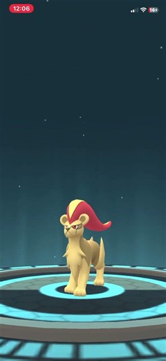 Shiny litleo tran into shiny pyroar￼ Pokémon go 627
