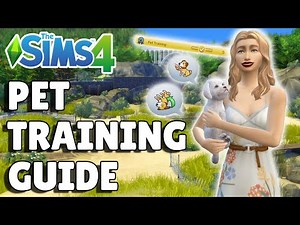 Complete Guide To Pet Training In The Sims 4