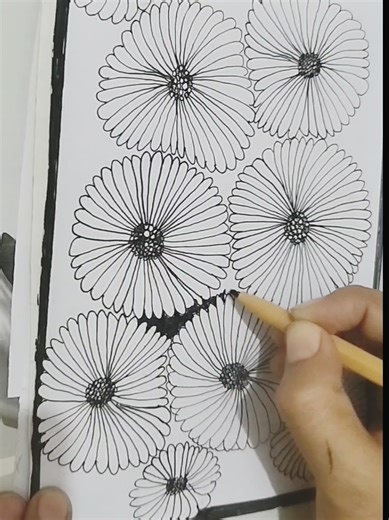 Beautiful Black And White Floral Drawing Techniques