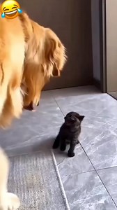 1.1M views · 16K reactions | Lucu sekali #parentinglife #emotionalmessage #emotionalexpression #gamerules #topfans #thursdaynight #thursdaynightfootball #thursdaynights #talentshow #relatablemoments | Nyonya Hutagalung | Facebook