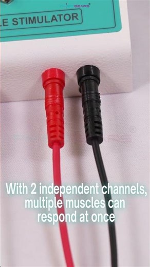 Physiogears Mini MS Muscle Stimulator: Galvanic & Faradic Therapy at Home!