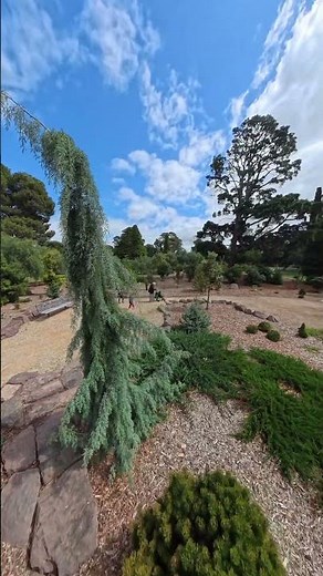 stunning arid landscape in Geelong Botanic Gardens Victoria Australia #arid #desert