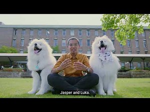 UNSW Sydney Visits Kensington Campus