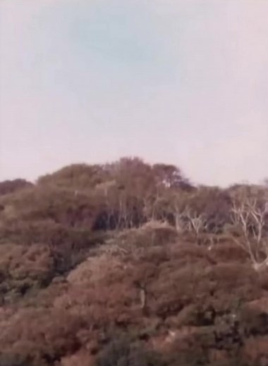 Mull of Kintyre - Wings (1977) #paulmccartney #gotback #wings #1970s