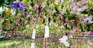 teamLab Planets TOKYO Ticket - Klook India
